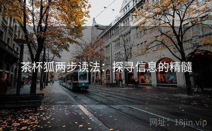茶杯狐两步读法：探寻信息的精髓
